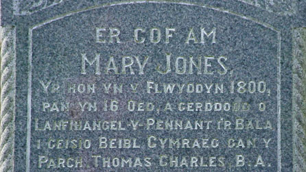 Bedd Mary Jones ym Mryncrud, a gerddodd i'r Bala i brynu Beibl