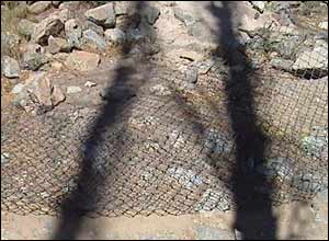 عکس از محمد عليزاده