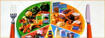 اکبر میں کیا اکبری تھی؟