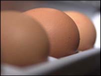 Ovos contêm proteína usada em tratamentos contra o câncer