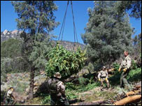 Cortesia: Depto de Justiça da Califórnia