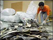 Köpekbalığı yüzgeci 