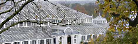 picture of greenhouse at Kew Gardens, London