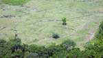 Illegally deforested land in the Brazilian state of Para