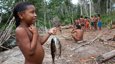 Foto de Daniel Beltrá, cortesia, The Prince’s Rainforests Project and Sony