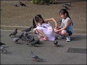 خداکرم آذرپرند