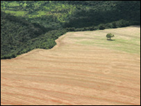 Área desmatada no Mato Grosso