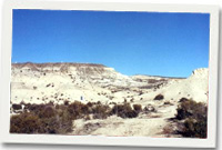 Bryn Gwyn, Patagonia
