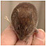 Farm activities (Image: Vole)