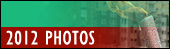 2012 Photos