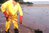 Clean up after Milford Haven oil spill