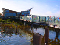 Attenborough Nature Centre