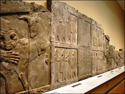 عکس از پریسا عرفانی 