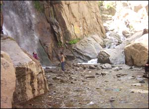 عکس ازمهرناز ناج شاد