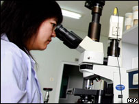 研究人员用显微镜