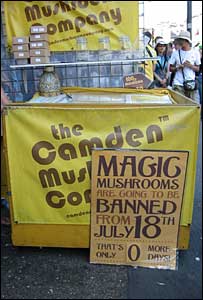 Barraca de venda de cogumelos mágicos