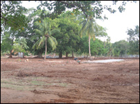 Photo by Dinasena Ratugamage