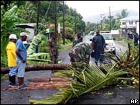 तूफ़ान से गिरे पेड़