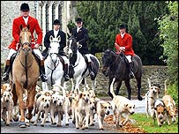 Köpekleri ile ava çıkan bir grup