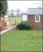 Steve Brookes' garden 