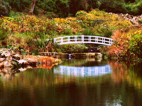 Trebah Gardens