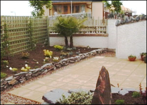 transformed garden