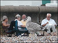 picnic on Aldeburgh beach