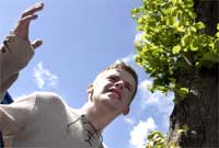 Jiwdas - Aled Pedrick