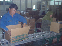 د انګورو ځای پر ځای کول