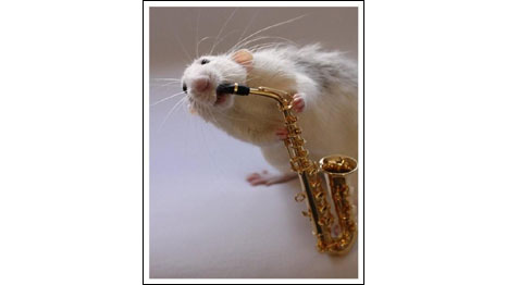 Foto: Ellen van Deelen