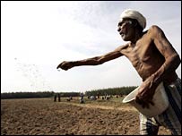 खेती-किसानी