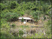 अमेज़न के जंगलों में घर