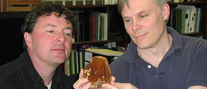 Howard anmd David looking at amber