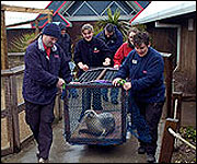 Rescued seal arrives at the Sea Life Centre