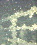 Wreckage under the sea