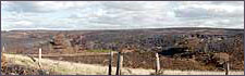 The North York Moors, after a fire