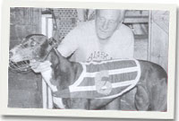 Dewi Parry a'i filgi