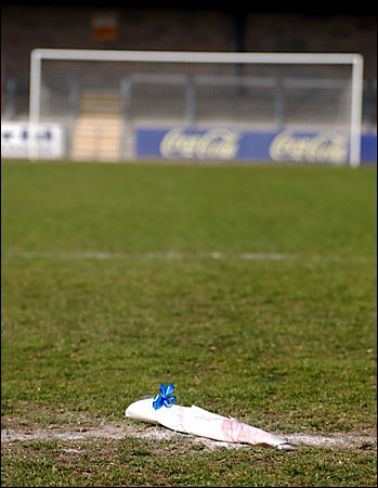 Flowers on the Plainmoor pitch