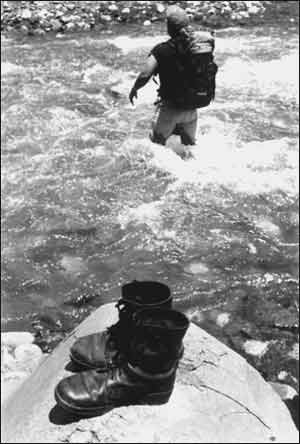 عکس از محمود آل احمد