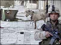 Soldado em frente à carroça de burro
