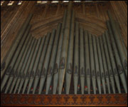 the organ