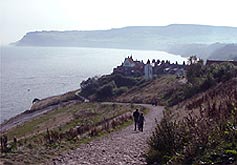 robin hood's bay