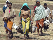 برڈ فلو کا خطرہ