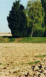 Beaumont Hamel - site of the battleground today