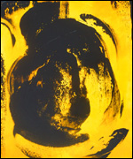 Eating Gold by Rosy James