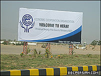 سازمان ايکو