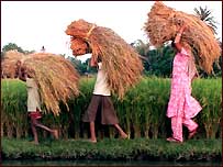 भारतीय गाँव