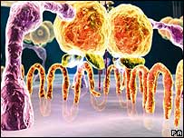 उतक कोशिका