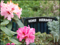 Hermes Close Wildlife Garden