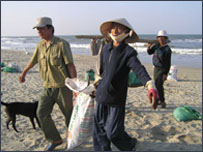 Chính quyền đang huy động dân đi gom các cục dầu vón cục dạt vào bờ